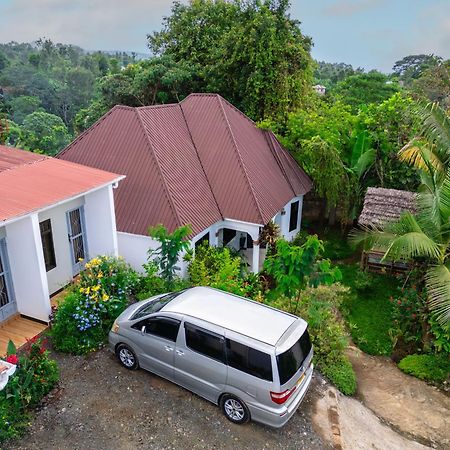 New Dream House Bed & Breakfast Arusha Dış mekan fotoğraf