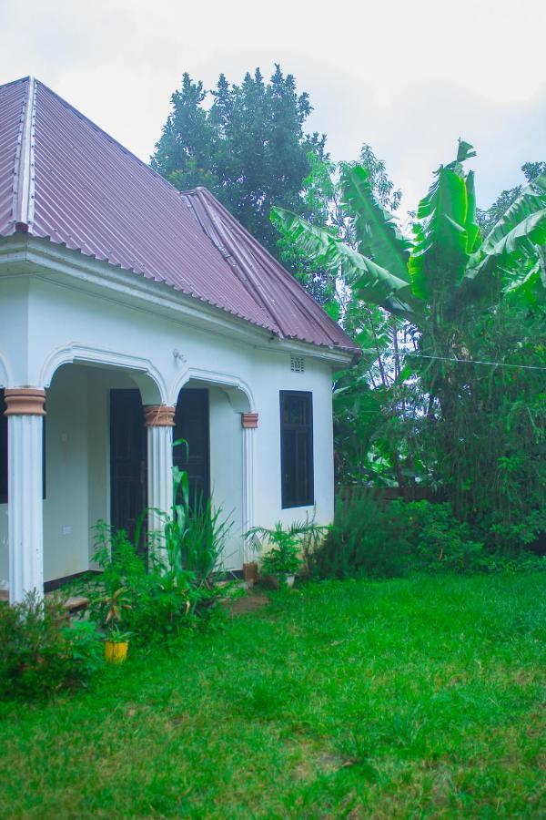 New Dream House Bed & Breakfast Arusha Dış mekan fotoğraf