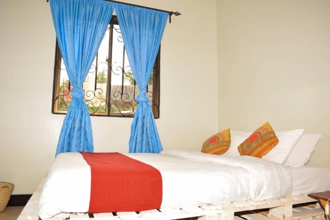 New Dream House Bed & Breakfast Arusha Dış mekan fotoğraf