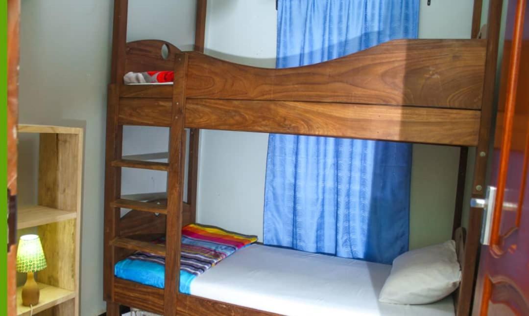 New Dream House Bed & Breakfast Arusha Dış mekan fotoğraf
